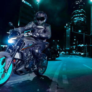 Yamaha MT 03 Motowerk